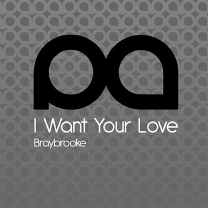 I Want Your Love