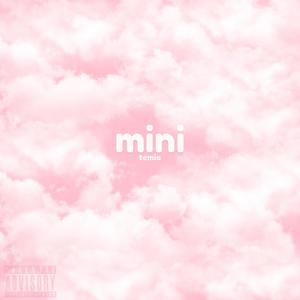 mini (Explicit)