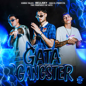 Gata Gangster (Explicit)