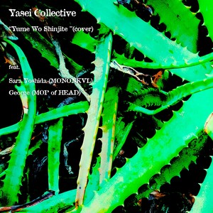 Yume Wo Shinjite (feat. 吉田沙良) (Yume Wo Shinjite(feat. Sara Yoshida(MONONKVL), Georgi(Mop of Head))) (モノンクル|, Georgi|Mop of Head)