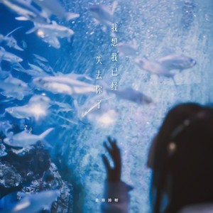 突然很难过 听到一首伤心的歌 (空灵版)