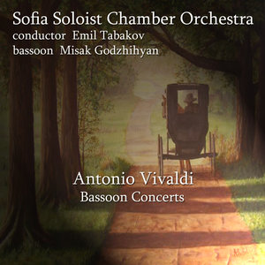 Bassoon Concert in B-Flat Major, RV 503 - 1. Allegro non molto