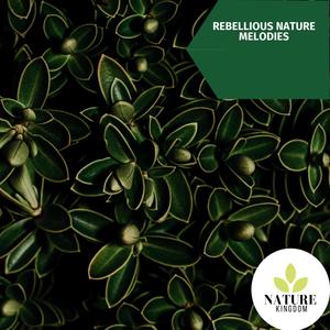 Lulling Windy Forest