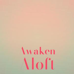 Awaken Aloft