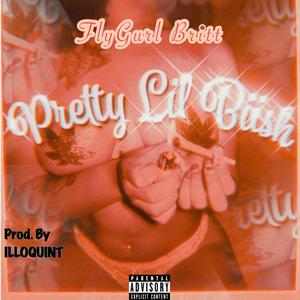 Pretty Lil Biish (Explicit)