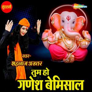 Tum Ho Ganesh Bemishal