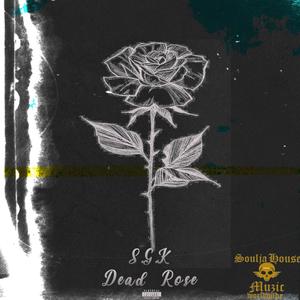 Dead Rose (Explicit)