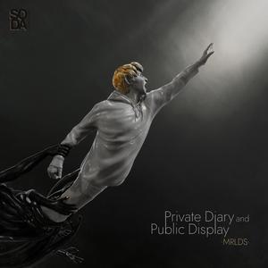 Private Diary & Public Display (Explicit)