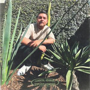 underdawg (feat. XV & Prodbyrick) (Explicit)