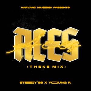 A.C.E.S (Theke Mix)