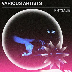 Physalie Christmas Various Artists 2020