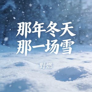 那年冬天那一场雪