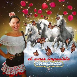 El Amor Imposible (feat. Mery Brilli)