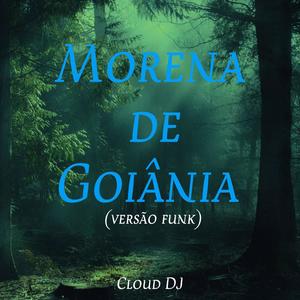 Morena de Goiania (Versão Funk)