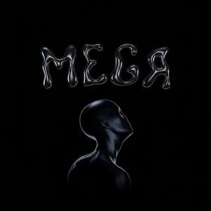 Mega (StellenBosch mix)