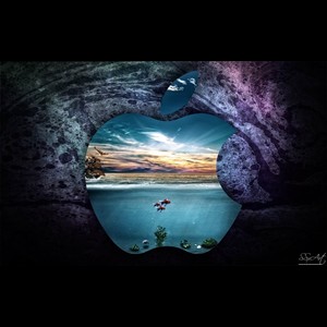 纯音乐 - 我终于懂了（适合服装店播放的音乐）