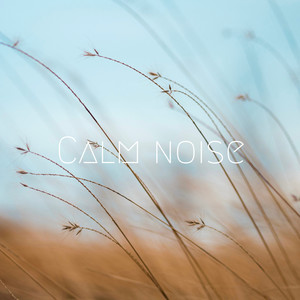 Serene Noise
