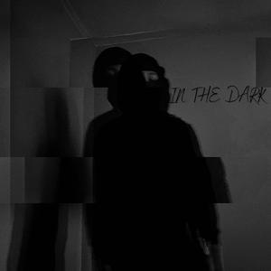 IN THE DARK (Explicit)