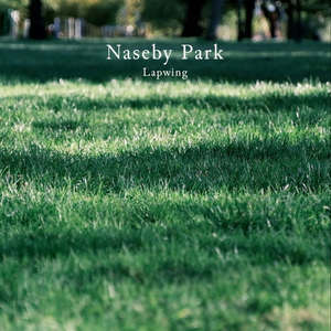 Naseby Park