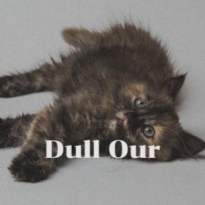 Dull Our