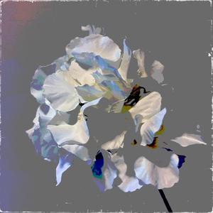 Not letting that slide (feat. Miroow) (Explicit)