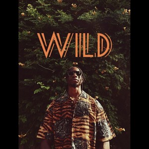 Wild (Explicit)