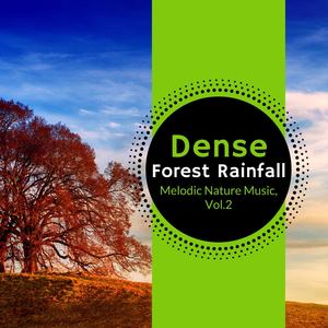 Dense Forest Rainfall - Melodic Nature Music, Vol.2