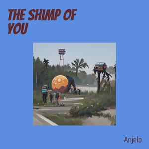 The Shimp of You (Acoustic)