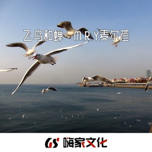 飞鸟和蝉 (Remix)封面