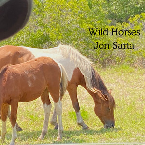 Wild Horses