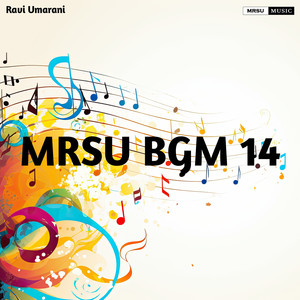 MRSU BGM 14