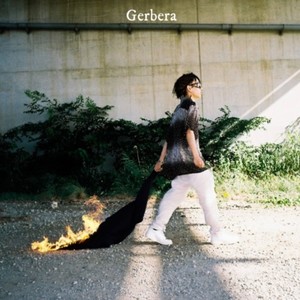 Gerbera (Explicit)