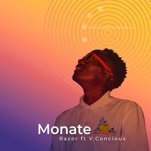 Monate (feat. V.Concious)