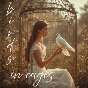 Birds in Cages