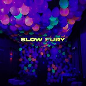 Slow fury (Explicit)