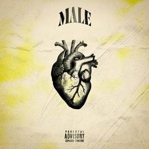 MALE (feat. Fobio) [Explicit]