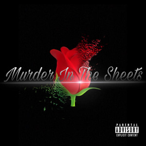 Murder in the Sheets (Explicit)