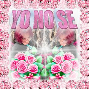 yo no se (feat. Sh4med)