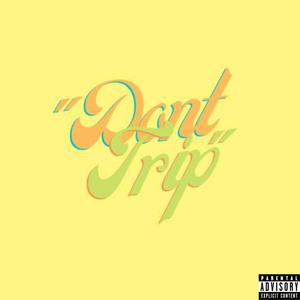 Don't Trip (Explicit)