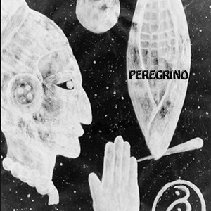 Peregrino