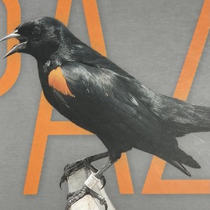 No Quiero ir al Colegio