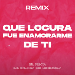 Que Locura Fue Enamorarme de Ti (Remix)