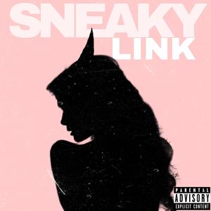 Sneaky Link (feat. Lu Nova) (Explicit)