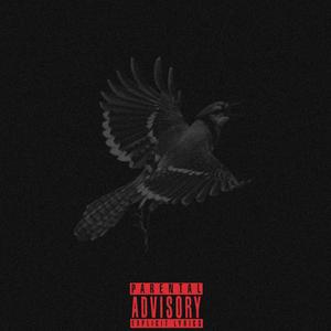 REBOUND (OG Version)