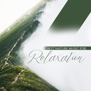 Best Nature Music for Relaxation: 2019 Collection of Soft Healing Nature New Age Music for Relax, Rest and Calm Down, Background for Wellness & Spa Healing Treatments