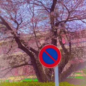 Mad World (Explicit)