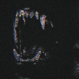 Wet Up (feat. semiklipp) (Explicit)