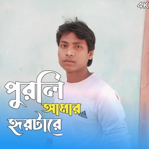 Purli Amar HridoyTa Re