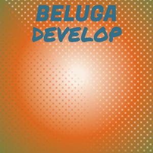 Beluga Develop