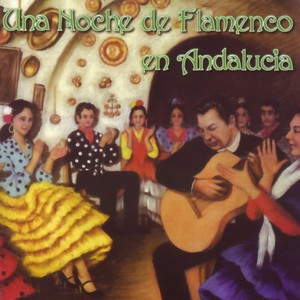 Una Noche de Flamenco en Andalucía